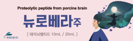 배너