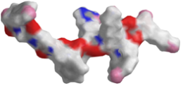 3D Structure of Neoendorphin