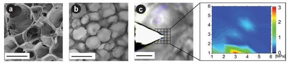 porosity