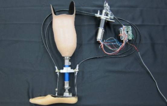 A portable computer-controlled actuator that can be carried in a pocket can help this robotic prosthetic ankle "see" where it is going.  Credit: Image courtesy of Michigan Technological University 