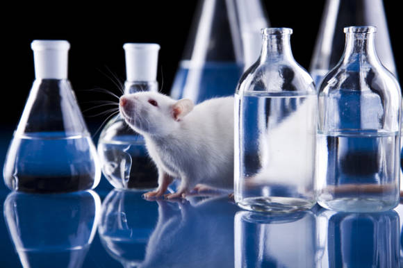 © Sebastian Duda / Fotolia