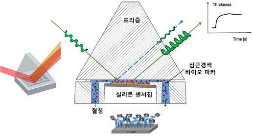 실리콘 기반 타원계측 바이오센서 개략도