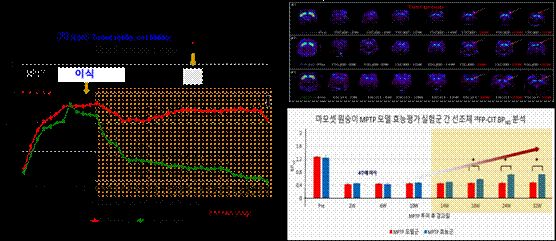 왼쪽: 파킨슨병 중증도 점수로 세포치료제 이식 후 중증도 감소(녹색) 오른쪽: 세포치료제 이식 후 시간이 경과함에 따라 도파민 신경세포가 활성화되는 양상을 PET-CT로 분석한 결과