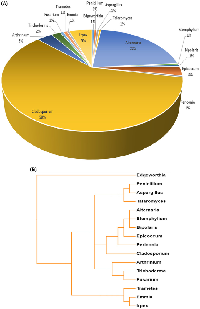 Fig. 2. The microbial distribution (A) and phylogenetic tree (B) of airborne fungus in Korea