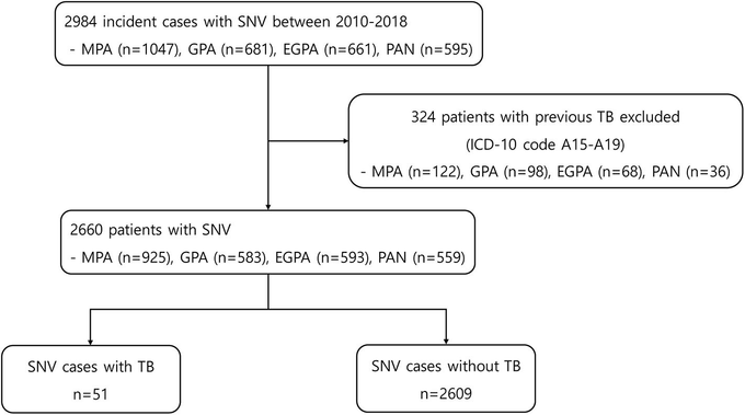FIGURE 1 | Flowchart for patient selection and data extraction. SNV, systemic necrotizing vasculitides, MPA, microscopic polyangiitis; GPA, granulomatosis with polyangiitis; EGPA, eosinophilic granulomatosis with polyangiitis; PAN, polyarteritis nodosa; TB, tuberculosis; ICD, international classification of diseases.