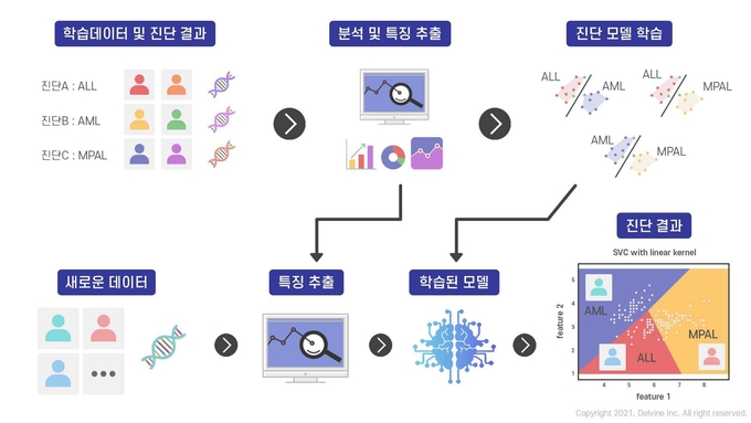 유전자 발현량 활용한 급성백혈병 감별 진단 머신러닝 모델 모식도