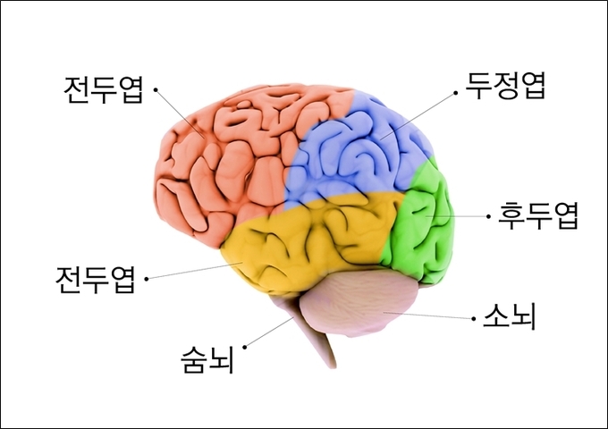 중풍뇌졸중의 전조증상(+예방법?초기증상까지) 12