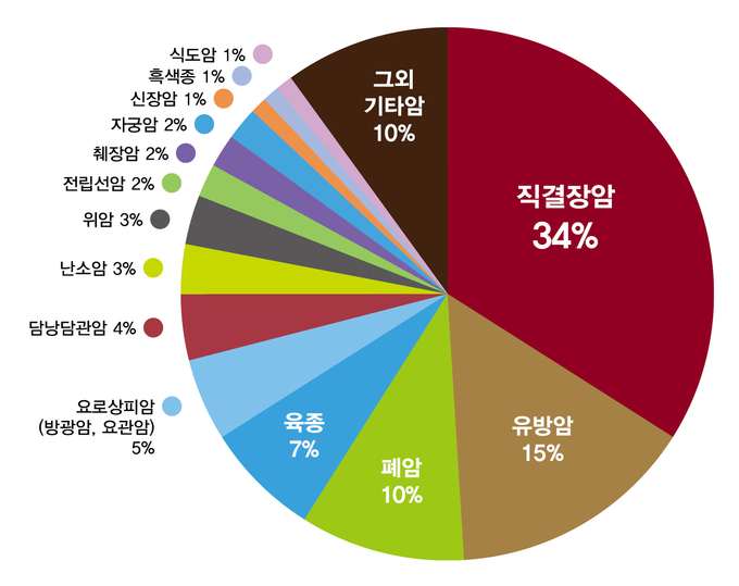 암 종별 등록현황 