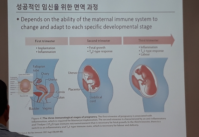 자가면역질환 산모의 자가항체 태아에게 어떤 영향을 줄까요? 모유수유 괜찮은가요?